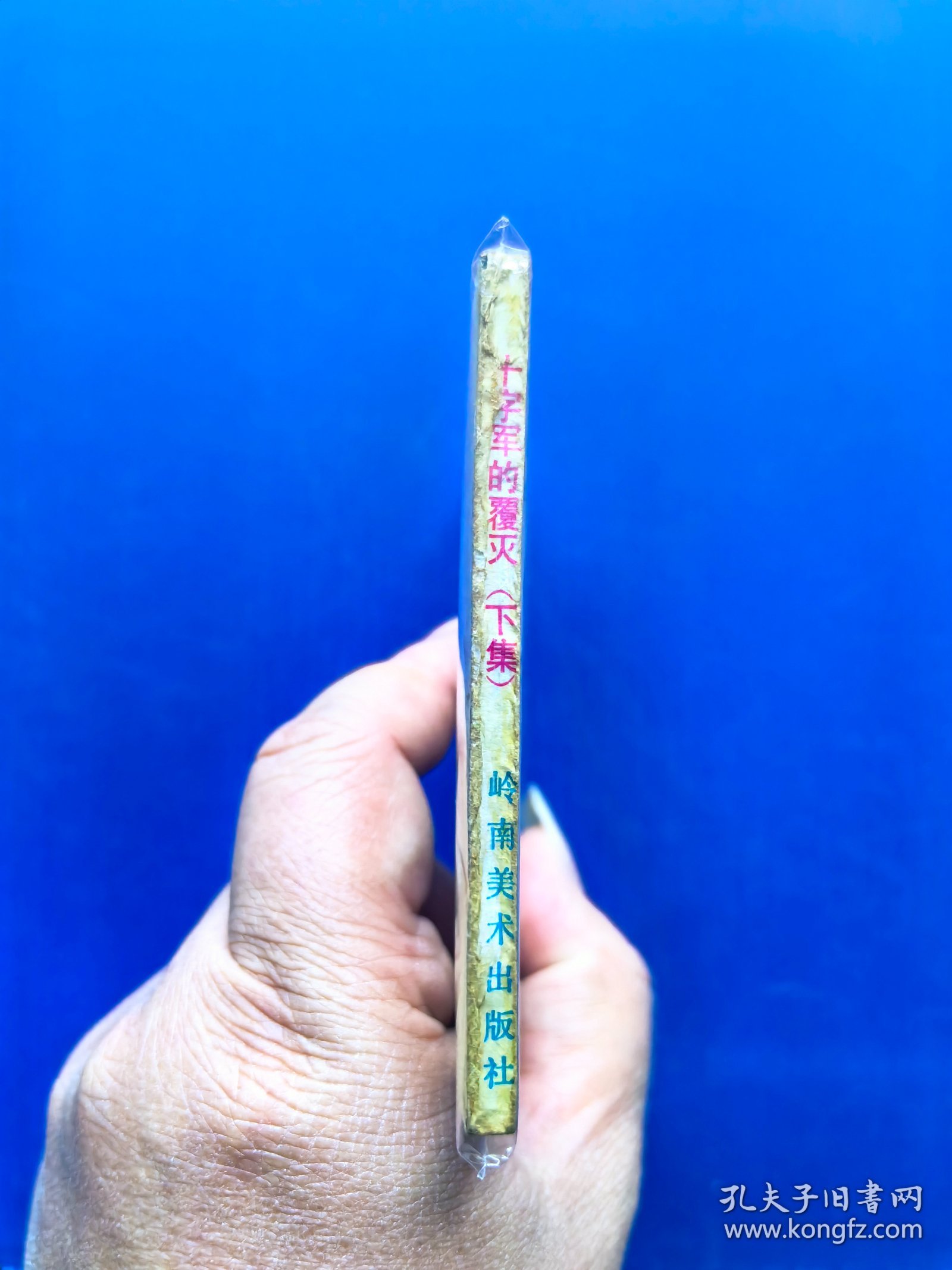 十字军的覆灭 下