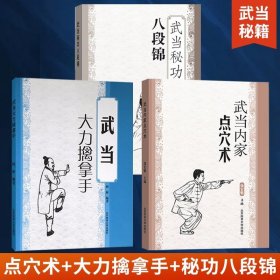 全3册武当内家点穴术+大力擒拿手+秘功八段锦 徐宏魁点穴书籍点穴绝技武功秘籍实战擒拿散打书易筋经图解自卫搏击健身养生保健手册