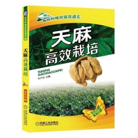 天麻高效栽培 天麻書籍天麻種植技術(shù)書 天麻病蟲害診斷及綜合防治技術(shù) 天麻種子種苗高產(chǎn)栽培與加工利用 天麻周年管理 中藥材種植