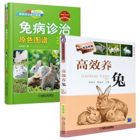 兔病诊治原色图谱+高效养兔 2册 养兔书籍技术大全科学兔子养殖饲养书教程手册指南 兔子养殖技术书兔病防治大全 家兔肉兔科学诊治