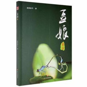 豆娘新章(塑封)（禁止网店销售）