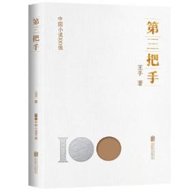 中国小说100强：第三把手（塑封）