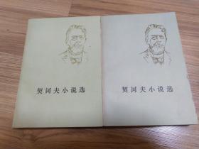 契诃夫小说选 两册全