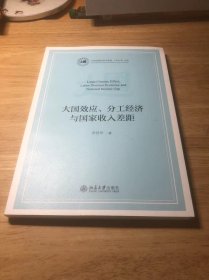 大国效应、分工经济与国家收入差距 大国发展经济学系列 李君华著