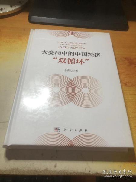 大变局中的中国经济“双循环”