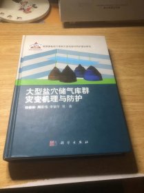 大型盐穴储气库群灾变机理与防护