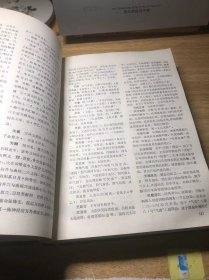 中国针灸大辞典