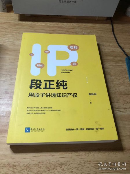 IP段正纯——用段子讲透知识产权