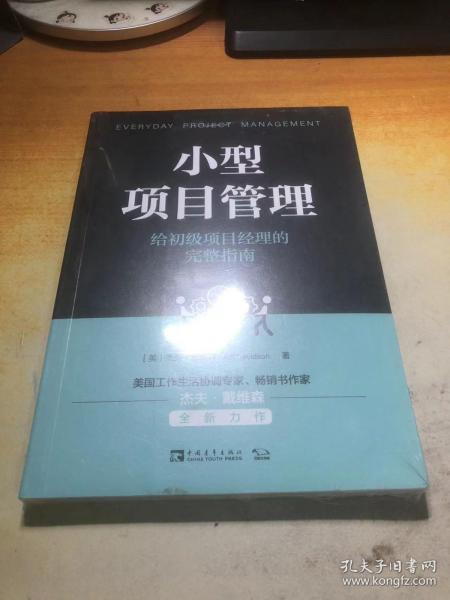 小型项目管理：给初级项目经理的完整指南