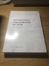 新结构经济学视角下区域经济高质量发展和产业升级(新结构经济学研究联盟丛书)