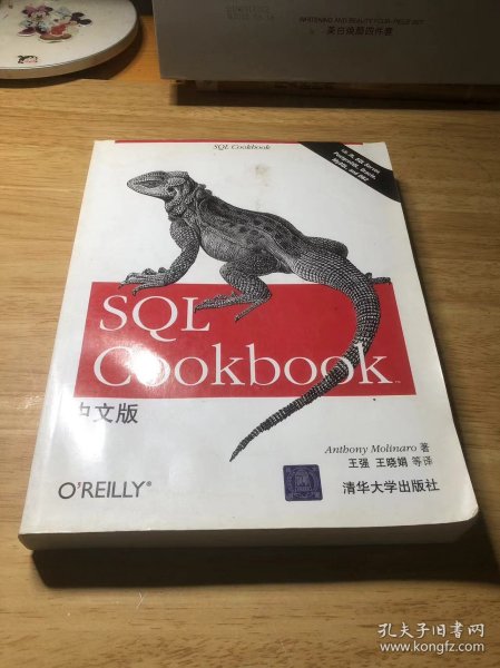 SQL Cookbook中文版