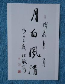 林散之书法作品集锦--行草书法大字 月白风清【明信片 1张】