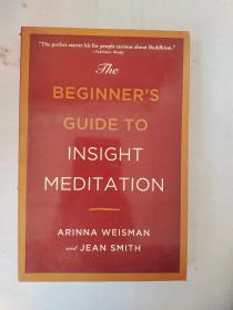 The Beginners Guide to Insight Meditation