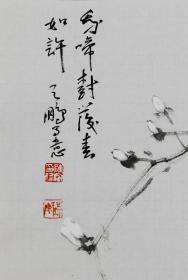 陈鹏，花鸟四条屏