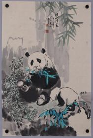 赵志田，熊猫