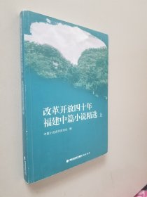 改革开放四十年福建中篇小说精选（上