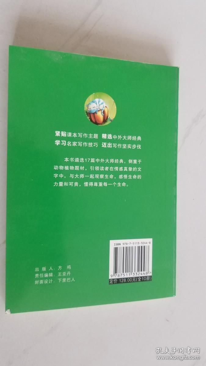 谁在南瓜上的大花猫 爱上写作不可不读的大师经典