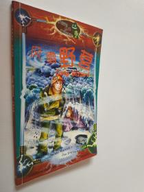 小海龟丛书·红激光束:风雪野营