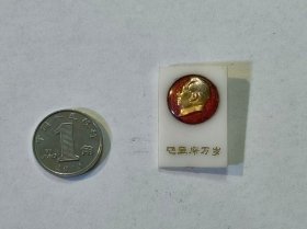 古玩文玩收藏类： 毛主席像章(塑料材质)    2.9*1.9cm    #0088