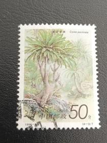邮票 1996- 7 苏铁 4-3 篦齿苏铁 50分 信销票