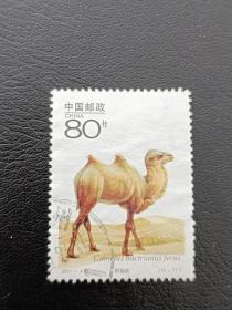 邮票  2001- 4  国家重点保护野生动物（二） 10- 7 野骆驼 80分 信销票