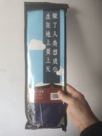 “迅哥儿”风筝    60×115CM（不含飘带）  全新