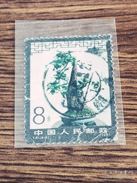 邮票  1981年 T61 盆景6-3  银杏 8分  信销票