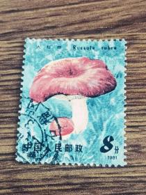 邮票 T30 1981年 T 66食用菌 6-4 大红菇 8分 信销票