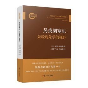 另类胡塞尔：先验现象学的视野