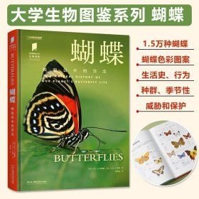 蝴蝶：鳞翅目中的顶流