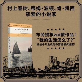 天上掉下个大草帽：一部日本小说