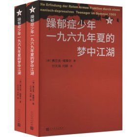 躁郁症少年一九六九年夏的梦中江湖(上下)