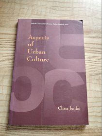aspects of urban culture 城市文化的方方面面