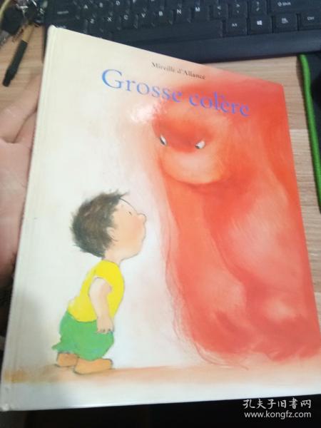 GROSSE COLERE 【具体看图】 英文版 儿童绘本