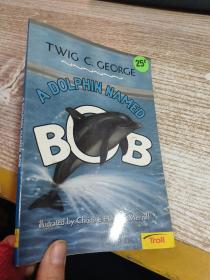 A Dolphin Named Bob