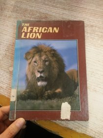 THE AFRICAN LION 具体看图