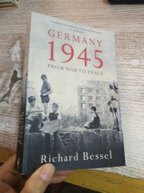 Germany 1945: From War to Peace by Richard Bessel 具体看图