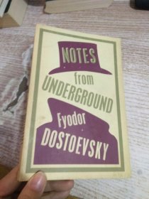 Notes from Underground 具体看图