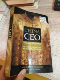 China CEO: Voices of Experience from 20 International Business Leaders  中国首席执行官