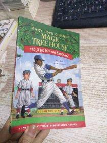 MAGIC TREE HOUSE 29