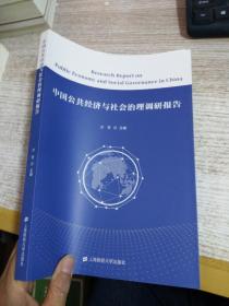 中国公共经济与社会治理调研报告