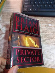 Private Sector