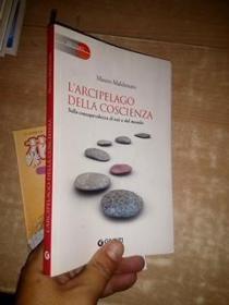 L ARCIPELAGO DELLA COSCIENZA