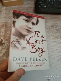 The Lost Boy：A Foster Child's Search for the Love of a Family