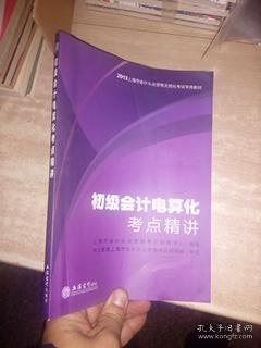 中公·会计人2013上海会计从业资格无纸化考试专用教材：初级会计电算化考点精讲