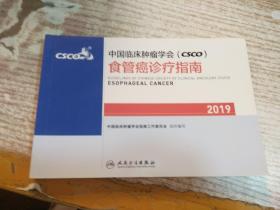 中国临床肿瘤学会(CSCO)食管癌诊疗指南2019