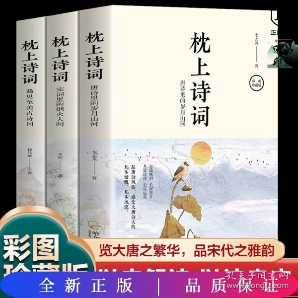 全套3册 枕上诗词书 一诗一词念红尘一字一句品人生领略古诗词之美排解当下的忧愁与焦虑提升文化气质与内涵中国古诗词阅读书籍