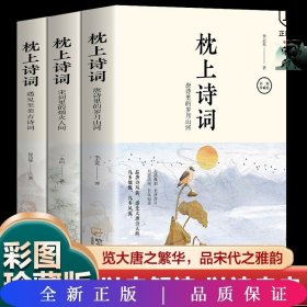 全套3册 枕上诗词书 一诗一词念红尘一字一句品人生领略古诗词之美排解当下的忧愁与焦虑提升文化气质与内涵中国古诗词阅读书籍