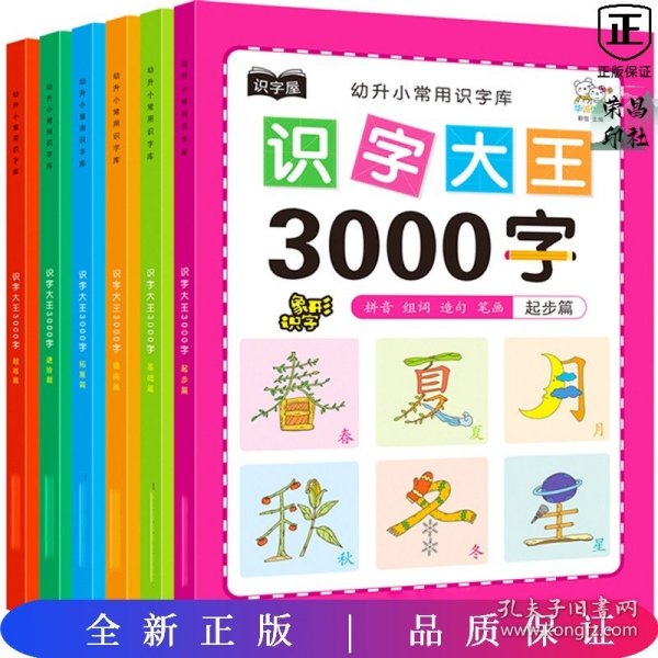 幼儿学前识字大王3000字全套6册 幼小衔接一日一练全套识字教材 幼儿园大班中班小班一年级3-4-5-6岁幼升小看图识字神器儿童启蒙早教认字书