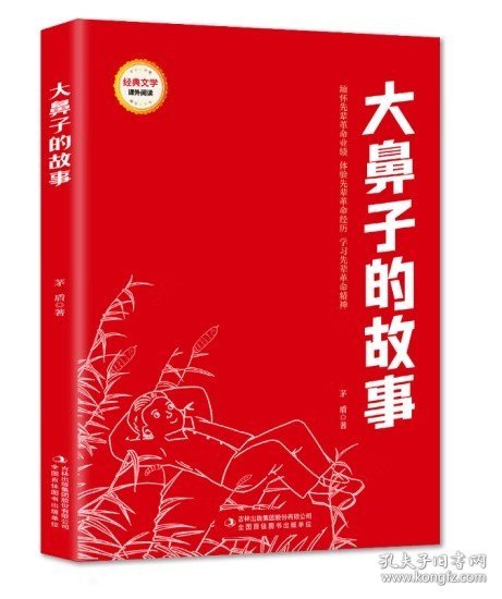 大鼻子的故事/经典文学课外阅读